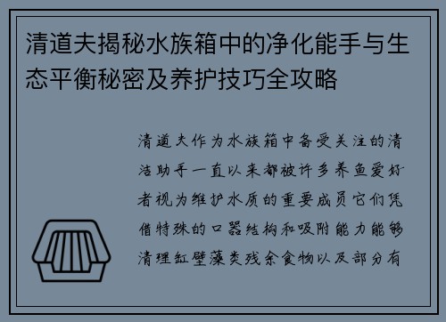 清道夫揭秘水族箱中的净化能手与生态平衡秘密及养护技巧全攻略 清道夫揭秘水族箱中的净化能手与生态平衡秘密及养护技巧全攻略